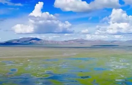 青海：生態(tài)體驗(yàn)“特許經(jīng)營(yíng)” 保護(hù)利用一舉多得