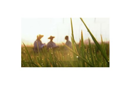 六級(jí)大型紀(jì)錄片《種子 種子》| 第三集：繁盛沃土