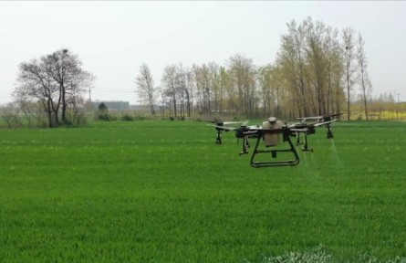 河南許昌：無人機(jī)統(tǒng)防統(tǒng)治 確保夏糧豐產(chǎn)豐收