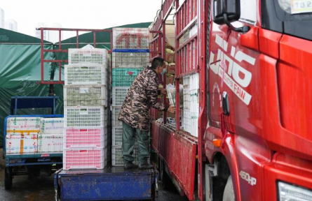 貨運物流暢通 smooth freight and logistics