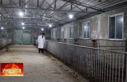 四川古藺張鑫道：幫助村民致富的“羊”專家