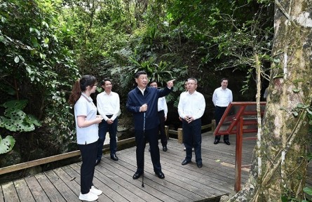 習近平：森林是水庫、錢庫、糧庫，現(xiàn)在應該再加上一個“碳庫”