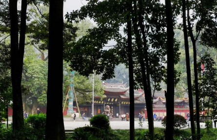 探秘峨眉山珍稀植物園