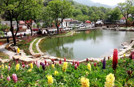 山東省威海市：實施七項行動 建設(shè)精致化城鄉(xiāng)融合發(fā)展先行區(qū)