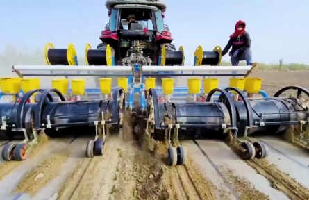 新疆棉原來是這樣種的！3700萬畝棉田開播，太壯觀