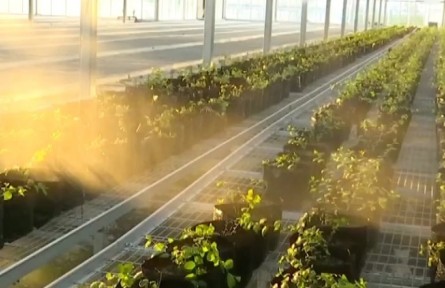 貴州：大數(shù)據(jù)技術進村入戶 為鄉(xiāng)村振興添智提質(zhì)