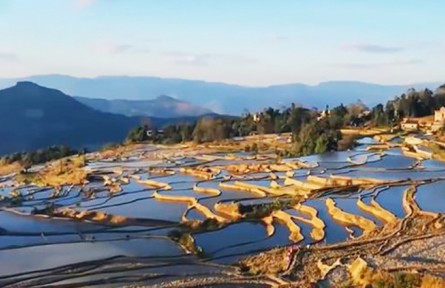 彝族小伙王然玄：守住鄉(xiāng)愁奔向小康 讓綠水青山變金山銀山