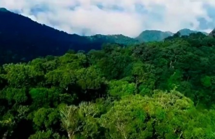 海南：打造國(guó)家公園建設(shè)的“海南樣本”