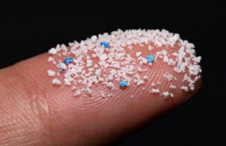 被界定為新污染物 微塑料對(duì)人體健康有哪些危害？