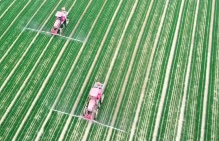 河南科技特派員：把科技“致富經(jīng)”播撒到田間地頭