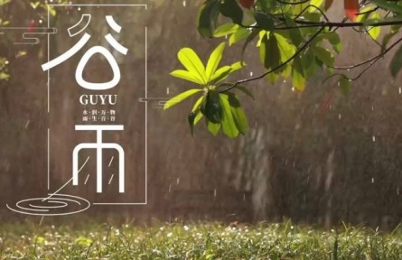 今日谷雨：邂逅春天最后一場奇遇