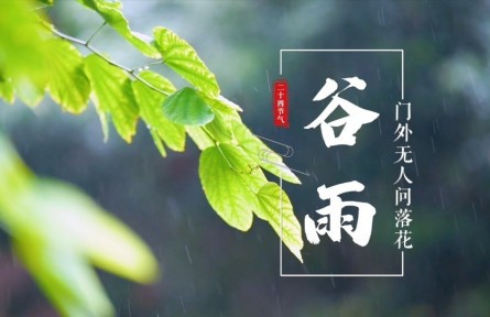 谷雨，門外無人問落花