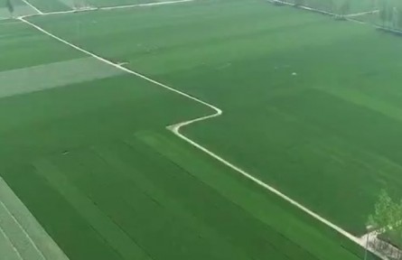 一季度山東農(nóng)業(yè)生產(chǎn)穩(wěn)定 農(nóng)產(chǎn)品供應充足