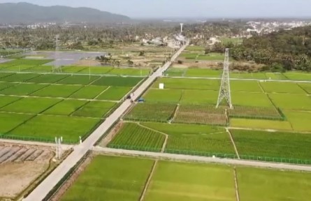 海南：探訪國家南繁科研育種基地