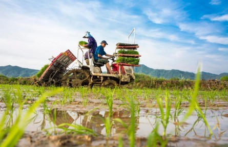 疫情挑戰(zhàn)下，如何抓好抓牢“米袋子”“菜籃子”？