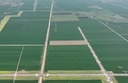 河南：“綠色”賦能 助推農(nóng)產(chǎn)品“加速跑”