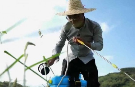 水稻栽培師李建武：扎根稻田 做一?！昂梅N子”