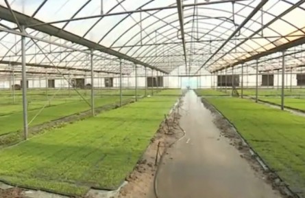 遼寧：搶抓農(nóng)時 加速推進春耕生產(chǎn)