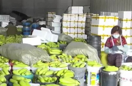 山東：物流保通保暢 打通運(yùn)輸梗阻 確保蔬菜暢運(yùn)全國