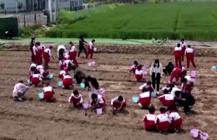 江蘇淮安：探秘航天育種 點亮航天夢想