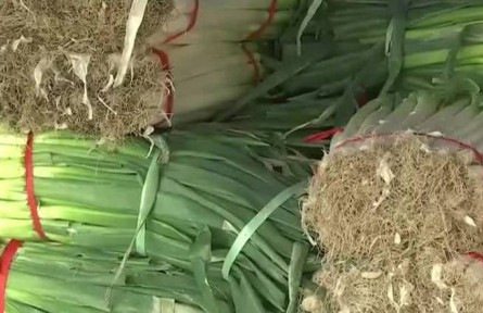 北京新發(fā)地：加強(qiáng)調(diào)運(yùn)組織貨源 “菜籃子”供應(yīng)平穩(wěn)