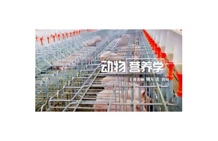 《動物營養(yǎng)學》講座系列視頻