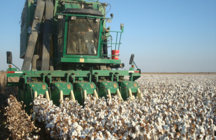 中國采棉機(jī)發(fā)展簡史