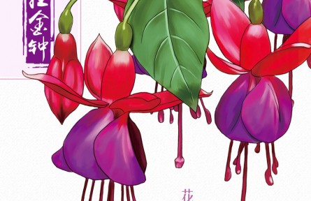 物種故事 | 倒掛金鐘：植物界的色彩搭配師就是我