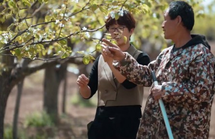 “農(nóng)潮兒”——梨園里的“CEO”張慧玲