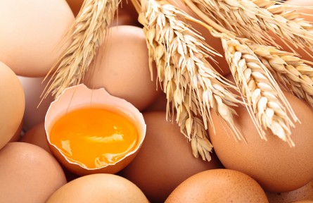 辟謠 | 無菌蛋≠完全無菌，營養(yǎng)價(jià)值與普通蛋相當(dāng)