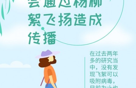 辟謠 | 飛絮會不會傳播新冠病毒？易過敏人群應(yīng)如何做好防護(hù)？