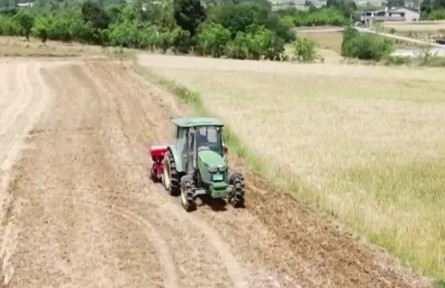 立夏時(shí)節(jié) 各地夏收作物迎來(lái)豐收季
