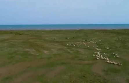 【奮進新征程 建功新時代·偉大變革】我國生態(tài)保護修復取得歷史性成就