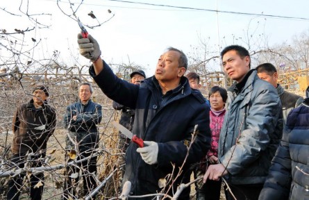 太行山花爛漫時(shí)——走近李保國(guó)山區(qū)開發(fā)與林果產(chǎn)業(yè)創(chuàng)新團(tuán)隊(duì)