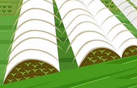 三農(nóng)詞條：農(nóng)村經(jīng)濟結(jié)構(gòu)