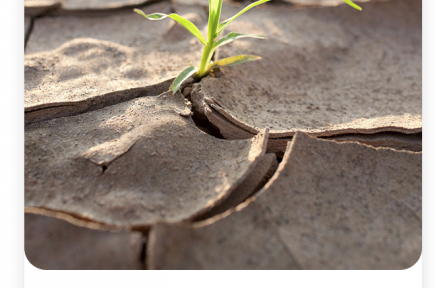 名言 | 夏衍：種子不落在肥土而落在瓦礫中  有生命力的種子決不會悲觀和嘆氣