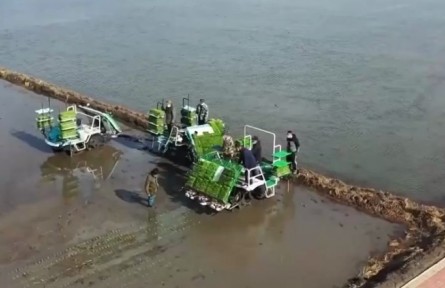 黑龍江佳木斯：水稻插秧全面開展 科技助力農(nóng)業(yè)生產(chǎn)