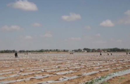 陜西：各地推廣新設(shè)備新技術(shù) 為糧食豐收打基礎(chǔ)