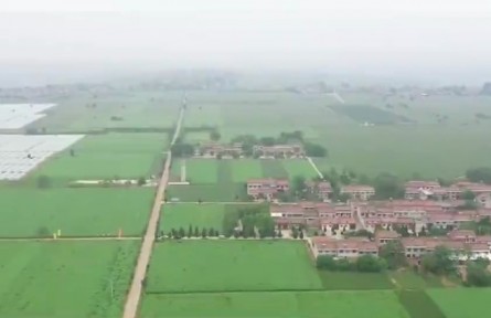 陜西楊凌：科技育良種 守護“油瓶子”安全