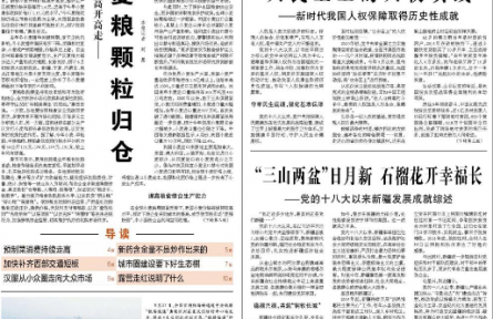 確保夏糧顆粒歸倉