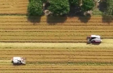 【在希望的田野上·三夏時節(jié)】我國夏收拉開序幕 大規(guī)模機收即將展開