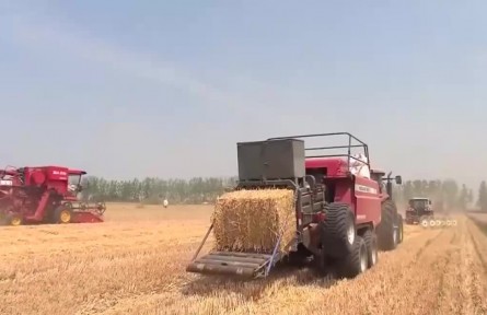 主產(chǎn)區(qū)小麥機收穩(wěn)步推進