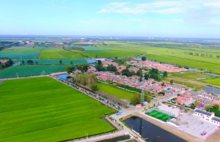 天津以實(shí)施鄉(xiāng)村振興戰(zhàn)略為抓手 確保糧食安全