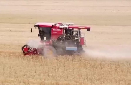 陜西：潼關(guān)縣小麥?zhǔn)崭铋_始 拉開陜西夏收序幕