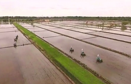 遼寧：大田播種已近尾聲