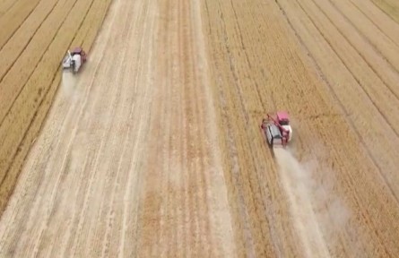 【在希望的田野上·三夏時節(jié)】夏糧主產(chǎn)區(qū)相繼開鐮 機收減損促增產(chǎn)