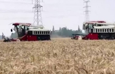 國(guó)家糧食和物資儲(chǔ)備局：加強(qiáng)夏糧收購(gòu)監(jiān)督 切實(shí)保護(hù)糧農(nóng)利益