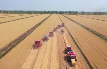 【在希望的田野上·三夏時節(jié)】我國夏糧大面積開鐮收獲