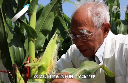 育種專家程相文：幸福是“育”出來(lái)的