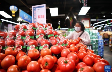 經(jīng)濟(jì)形勢怎么看？穩(wěn)就業(yè)、穩(wěn)物價(jià)如何發(fā)力？——國家發(fā)展改革委回應(yīng)經(jīng)濟(jì)熱點(diǎn)